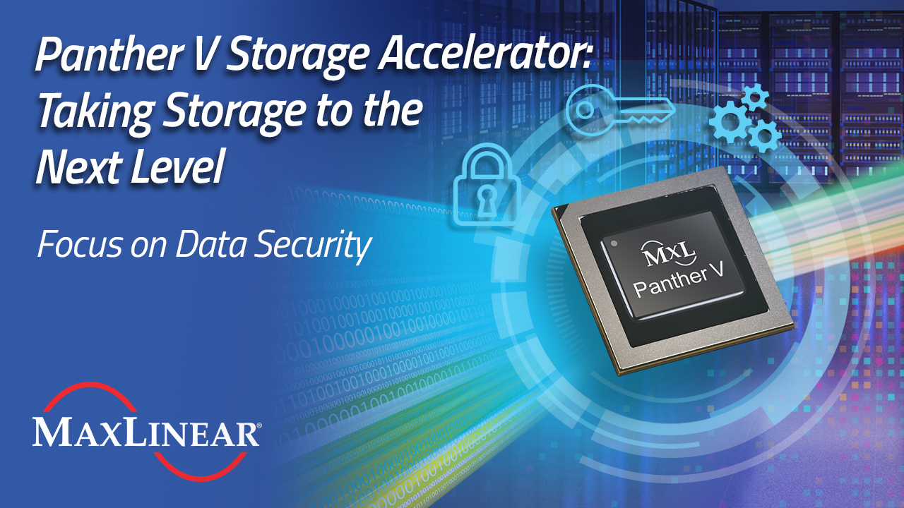 Panther V Storage Accelerator: Taking Storage to the Next Level—Focus on Data Security