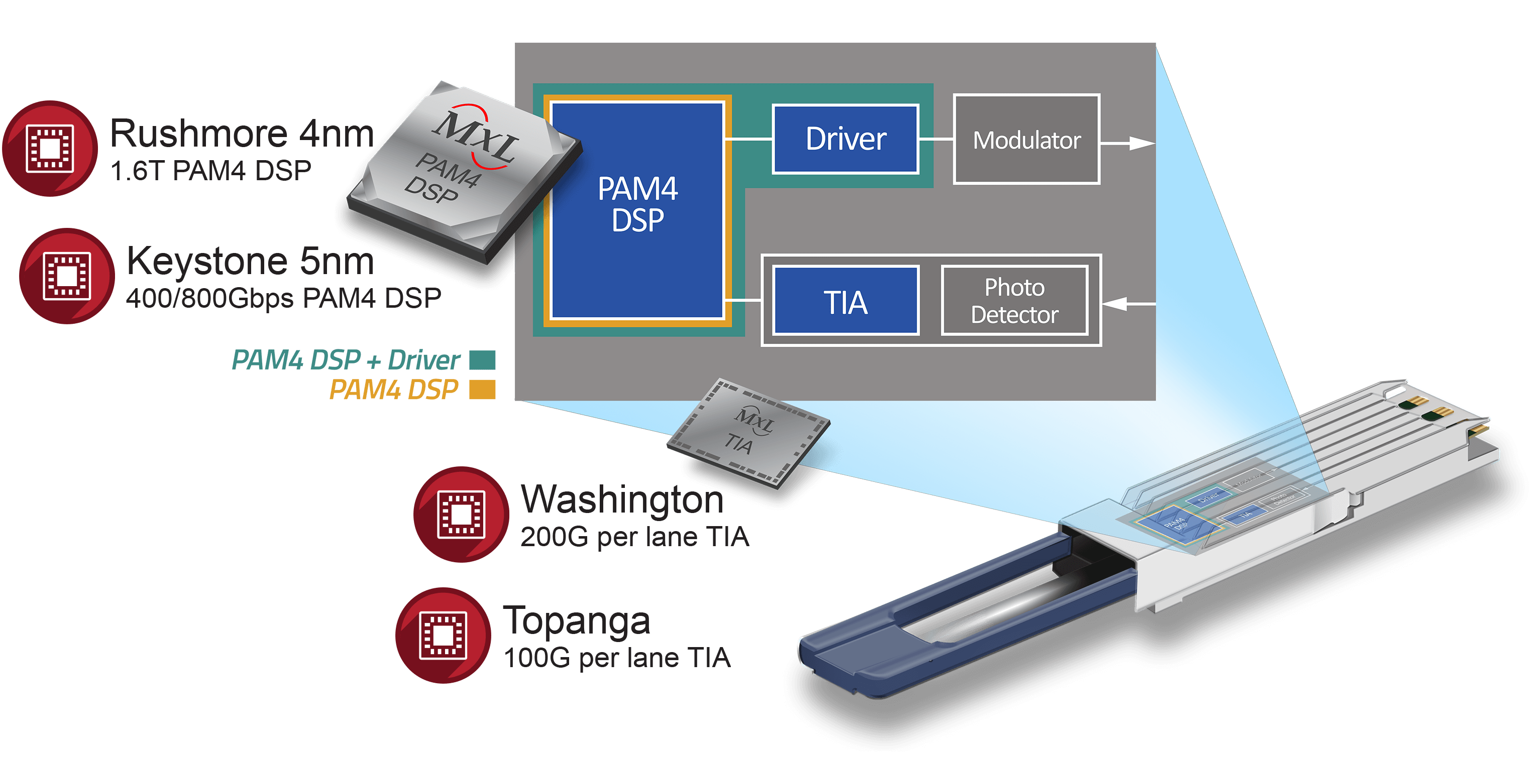 Optical Module